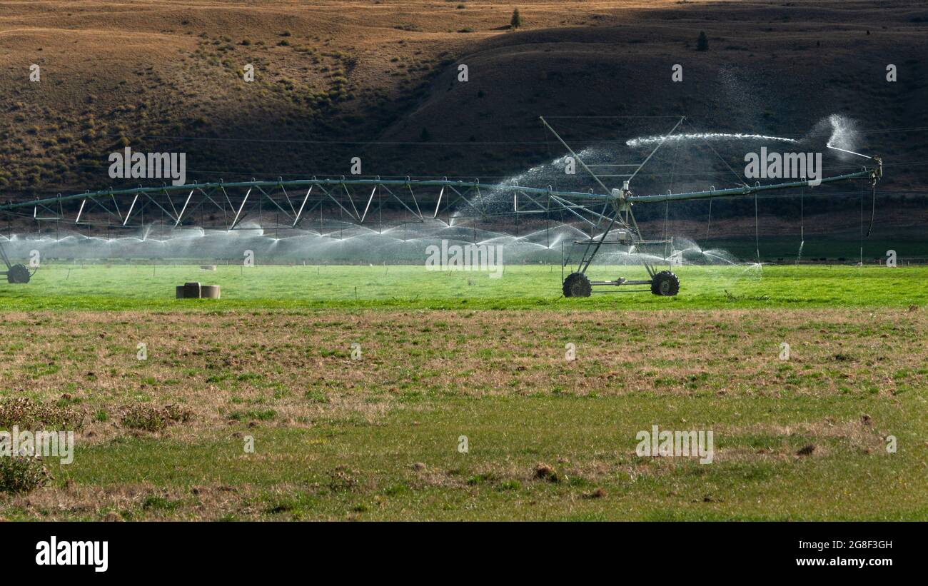 Un système d'irrigation sprinkleur est en cours sur un pâturage agricole dans la région d'Otago, île du Sud, Nouvelle-Zélande Banque D'Images