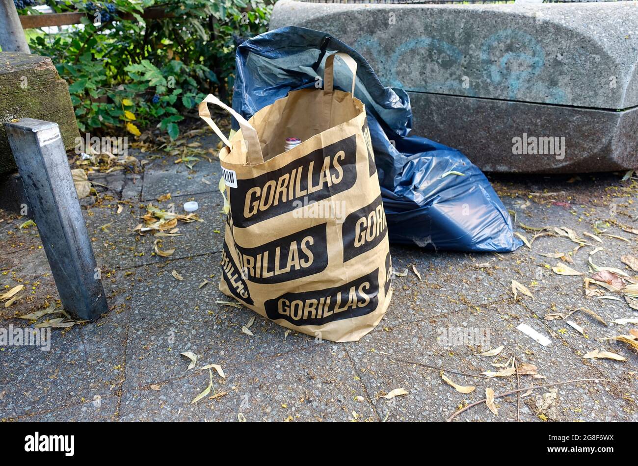 Gorilles, plus rapide que vous, Moabit, Berlin, Allemagne Banque D'Images