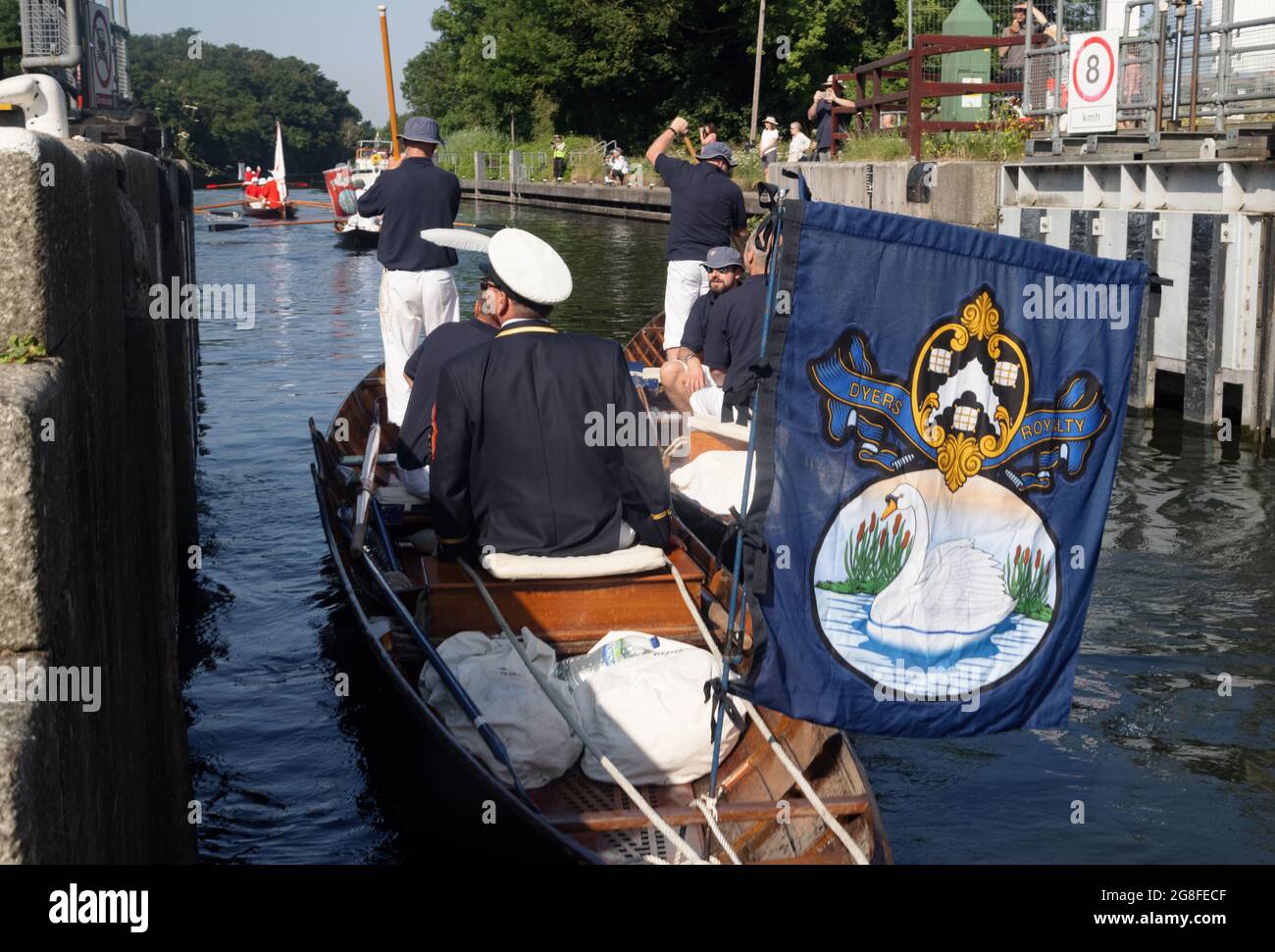 Boveney Lock, près d'Eton, Royaume-Uni : 20 juillet 2021. Recensement annuel de la population de cygnes sur la Tamise. Les monteurs de cygnes de la Compagnie des Vintners et de la Compagnie des Cyers (Barge Masters en blazers bleus) se sont retrouves en montant dans des skiffs traditionnels avec le marqueur de cygne de la Reine David Barber (blazer de scarlet). L'événement annuel est censé date de 1189, lorsque la Couronne a revendiqué la propriété de tous les cygnes muets pour la nourriture pour les banquets et les fêtes. Banque D'Images