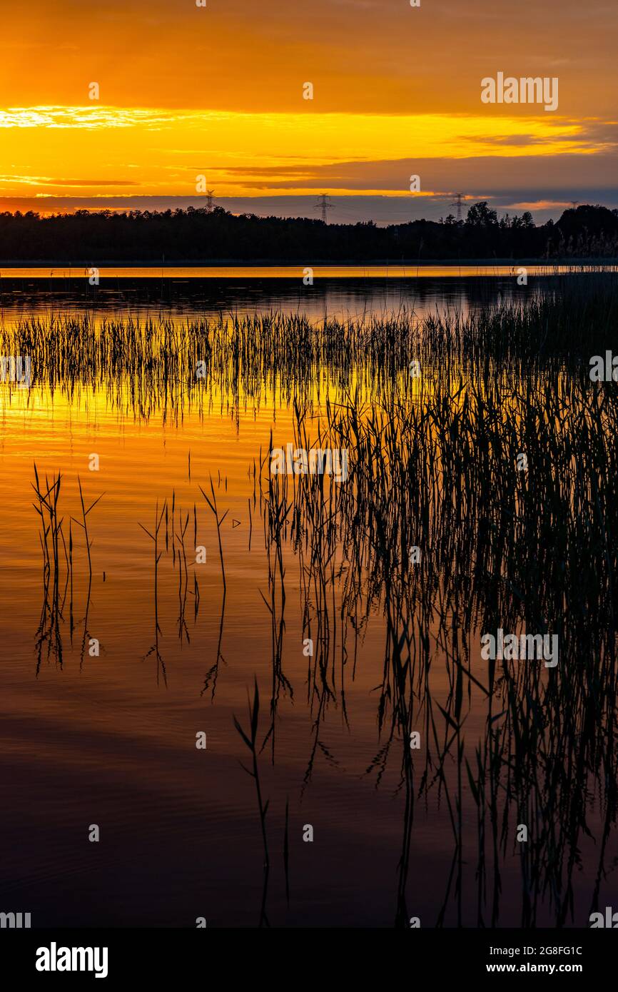 Vue panoramique d'été au coucher du soleil de Jezioro Selmet Wielki paysage du lac avec roseaux et rivage boisé dans le village de Sedki dans la région de Masuria en Pologne Banque D'Images