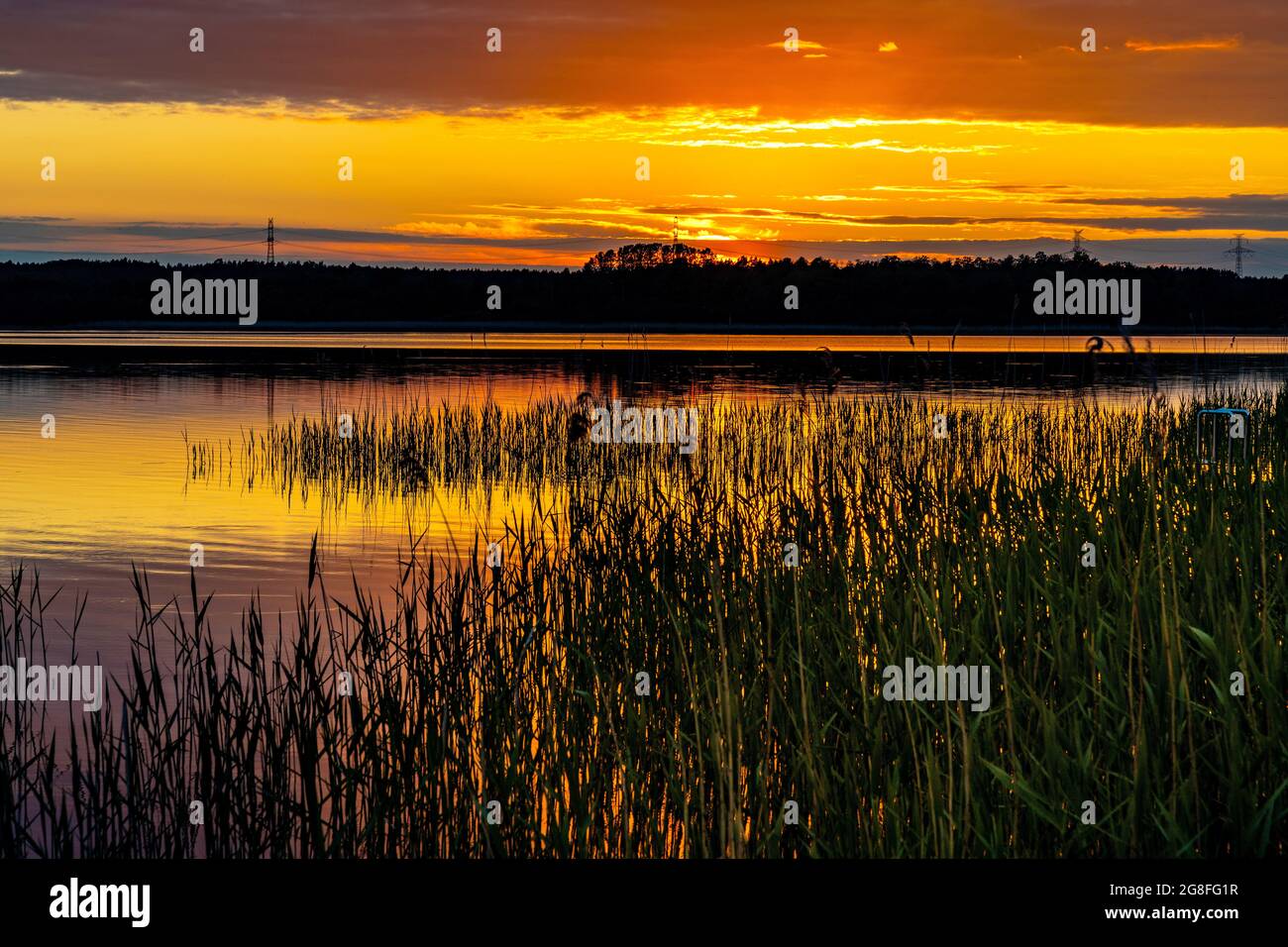Vue panoramique d'été au coucher du soleil de Jezioro Selmet Wielki paysage du lac avec roseaux et rivage boisé dans le village de Sedki dans la région de Masuria en Pologne Banque D'Images