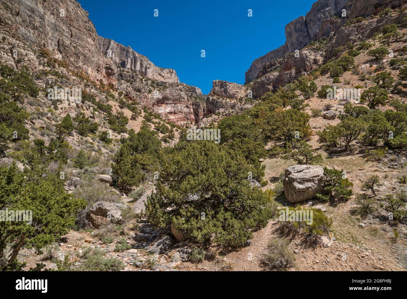 Canyon latéral sans nom, vue depuis la cabine isolée d'Hermit, la région de Marjum Canyon, Middle Range in House Range, Great Basin Desert, Utah, États-Unis Banque D'Images