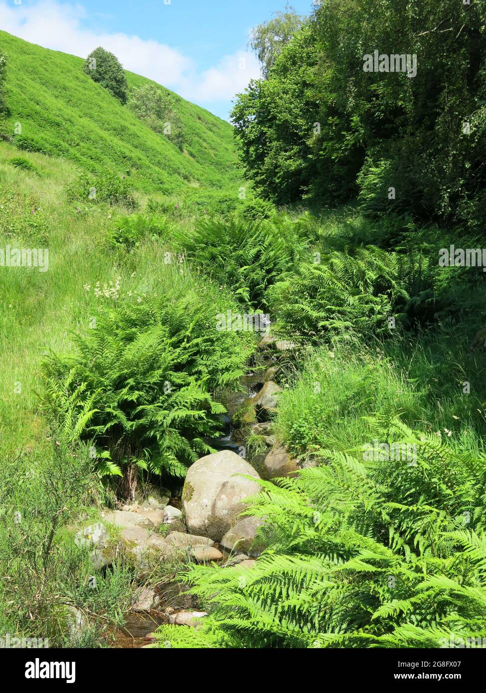 Vue depuis le sentier de randonnée jusqu'à Glendevon à Dollar Glen dans les collines d'Ochil : gorges profondes et paysages de montagne pendant une belle journée d'été. Banque D'Images