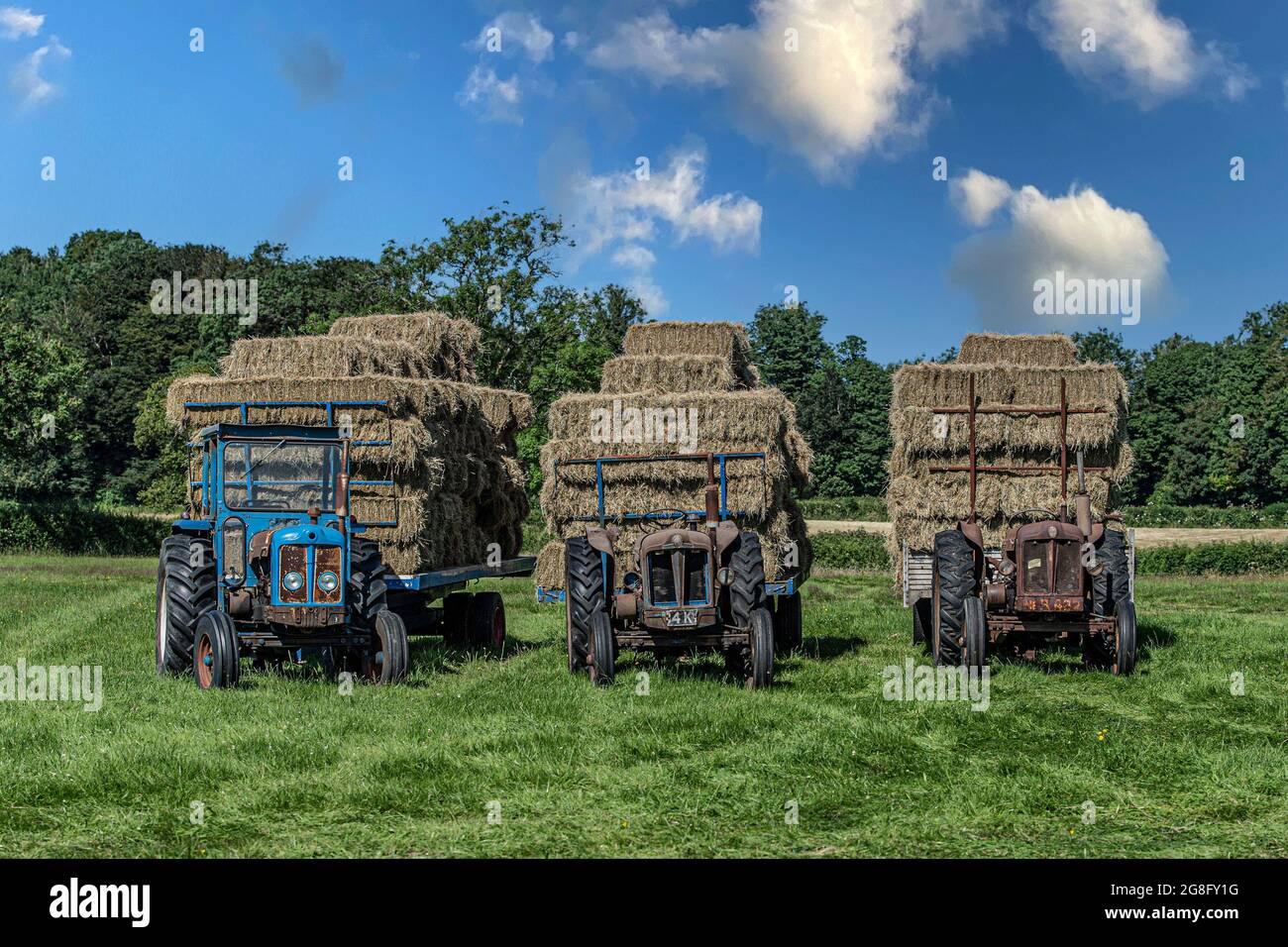 3 tracteurs Fordson d'époque avec balles de foin au moment de la récolte Banque D'Images