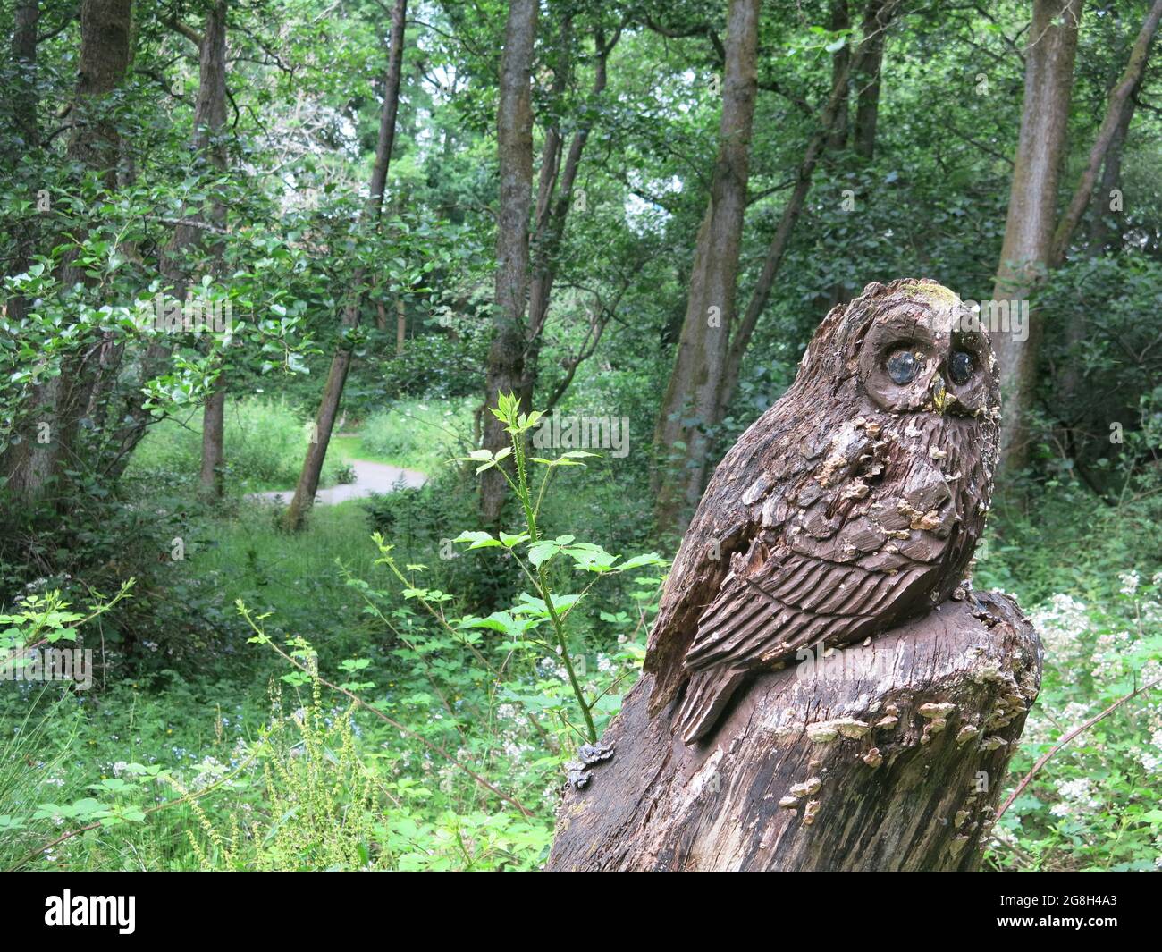 Partez à la chasse aux sculptures lifesize de la « route Gruffalo » à travers les bois autour du Loch Kilmardinny et gardez les sous-fives actives pendant les longues vacances d'été. Banque D'Images