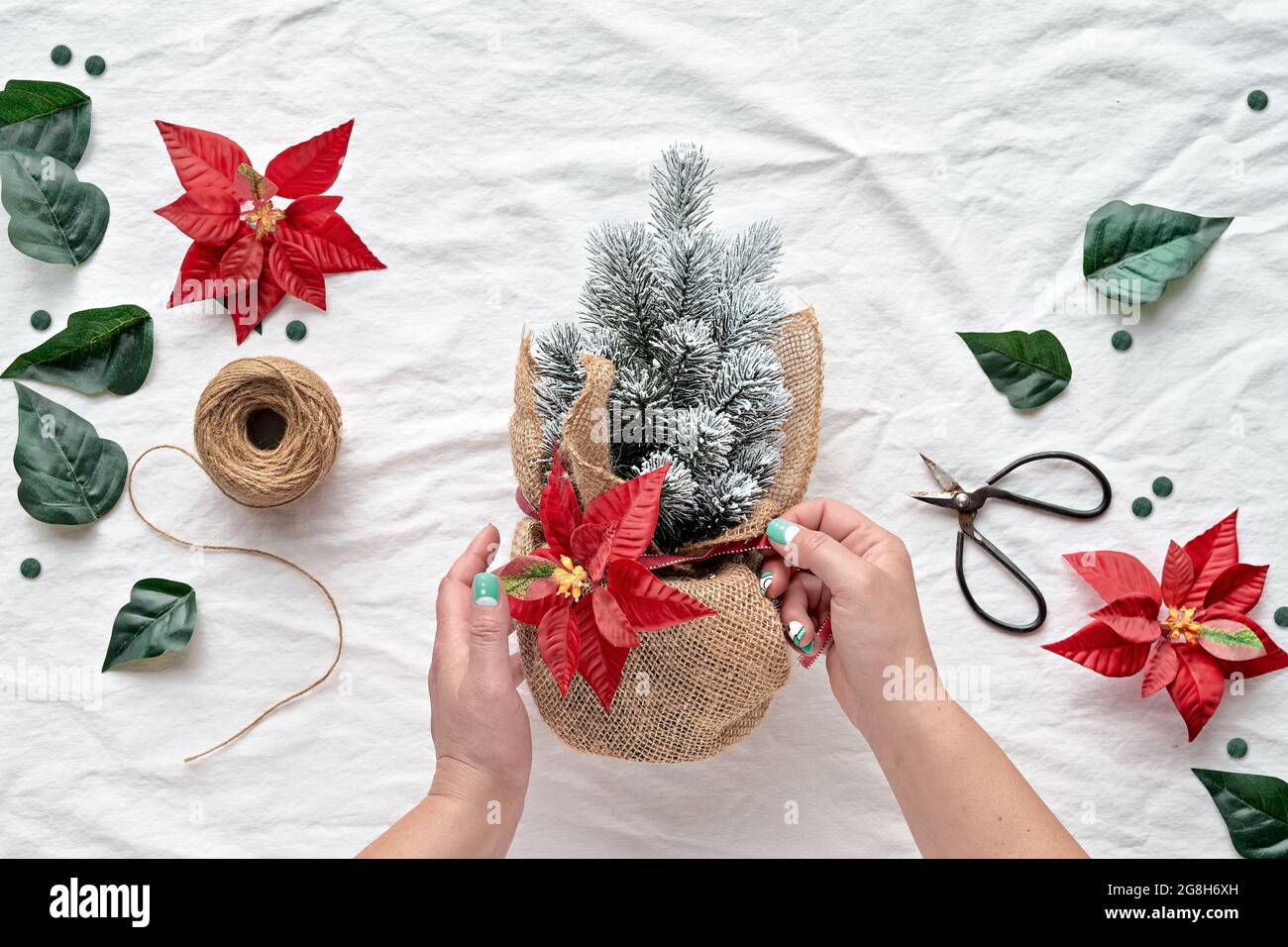 Appartement de Noël avec poinsettia, arbre de Noël en pot enveloppé de toile de fond blanche en main. Brindilles dépolies, corde de chanvre, ciseaux, rouge Banque D'Images