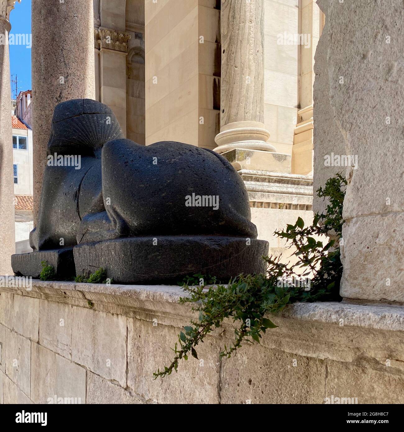 Sphynx égyptien de 3700 ans dans le palais de Dioclétien à Split Croatie Banque D'Images