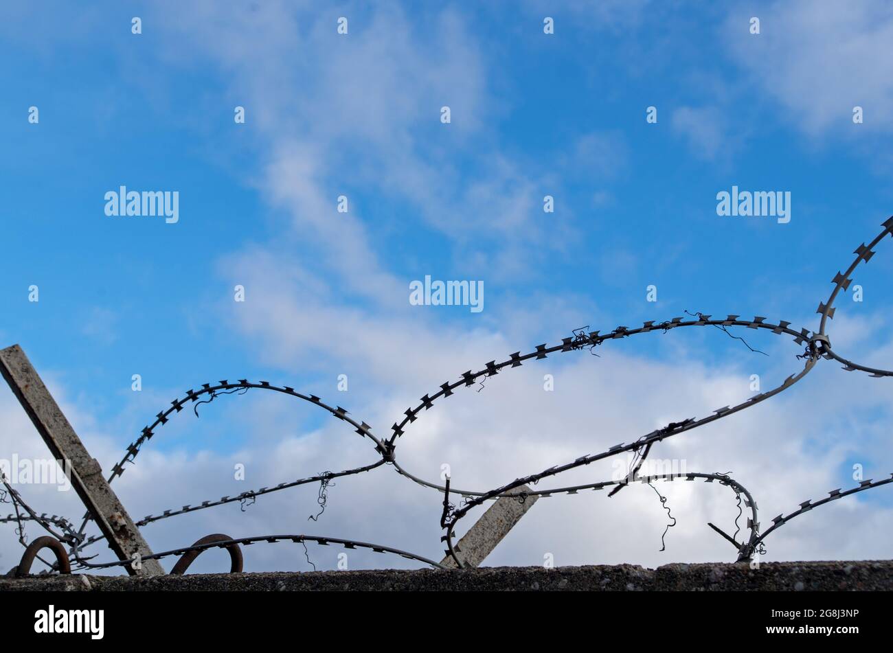 Boucles de fil barbelé noir avec des traces d'herbe à poux séchée fixées à une clôture en béton avec des coins métalliques sur elle contre ciel bleu nuageux. Concept : restric Banque D'Images