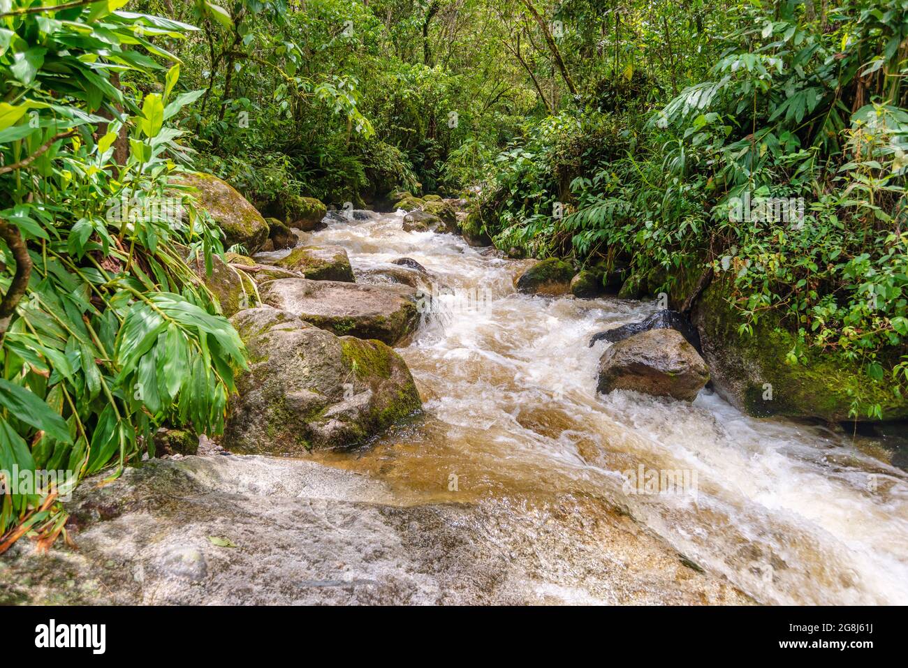 Ruisseau de montagne dans la forêt tropicale au Pérou Banque D'Images