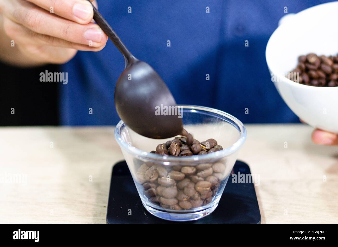 Pesée des grains de café sur une balance numérique. Mains du barista masculin versant les grains de café torréfiés sur une balance avant de préparer le café. Banque D'Images