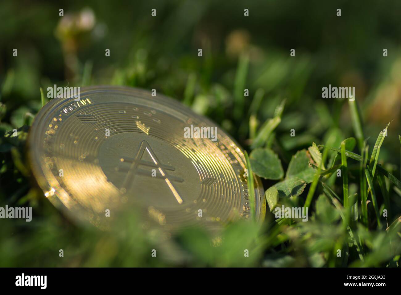 une seule pièce de monnaie ada dorée de la monnaie de cardano située dans l'herbe verte au soleil Banque D'Images