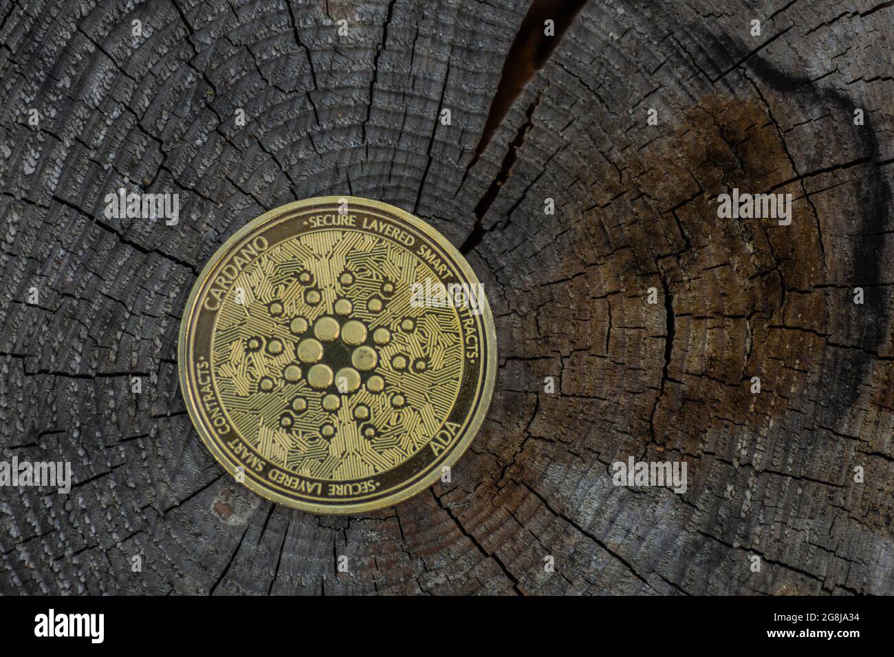 une seule pièce de monnaie ada dorée de la monnaie de cardano située sur un tronc d'arbre fissuré foncé à l'arrière du milieu du fond Banque D'Images
