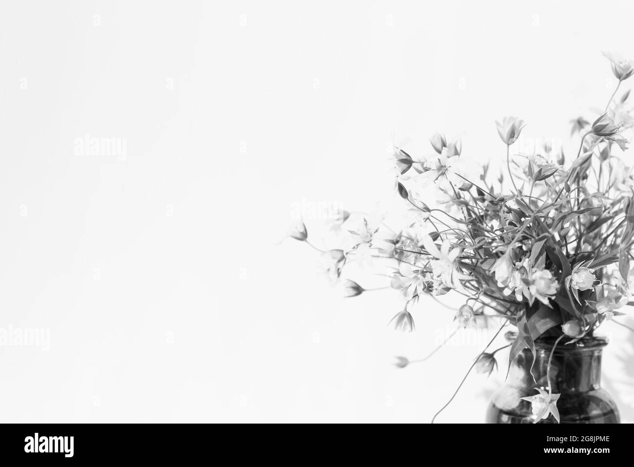 Bouquet de printemps de fleurs sauvages sur photo noir et blanc. Banque D'Images