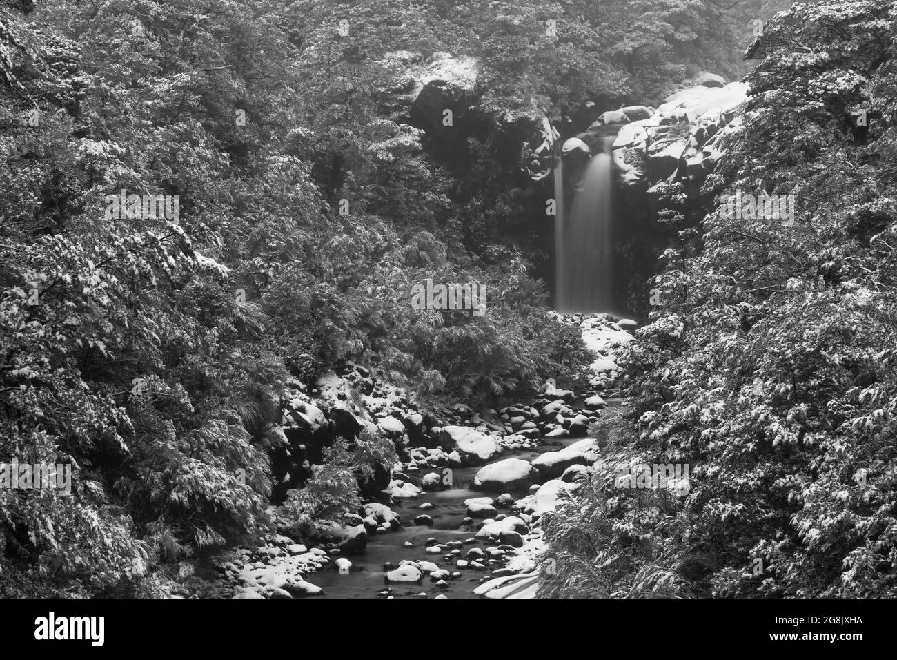 Une cascade et une rivière dans une forêt alpine enneigée. Noir et blanc. Photographié sur le mont Ruapehu, Nouvelle-Zélande Banque D'Images