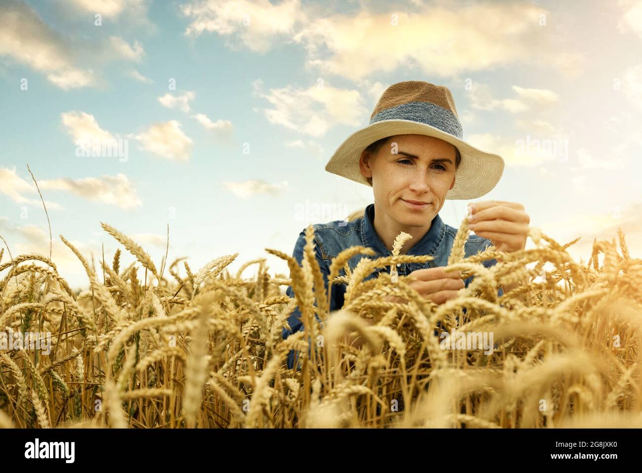 l'agronome de l'agriculteur féminin vérifie la qualité de la récolte de blé dans le champ de céréales. espace de copie Banque D'Images