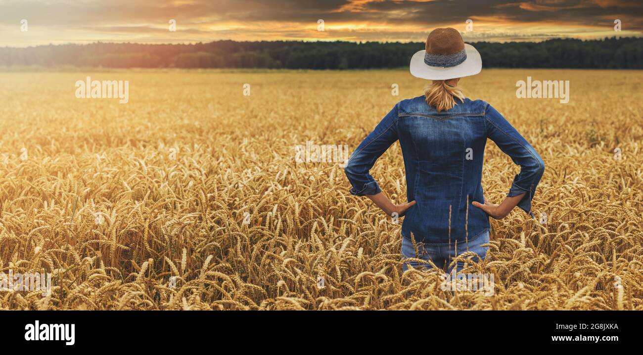 agricultrice debout et regardant un champ de blé doré au coucher du soleil. vue arrière espace de copie Banque D'Images