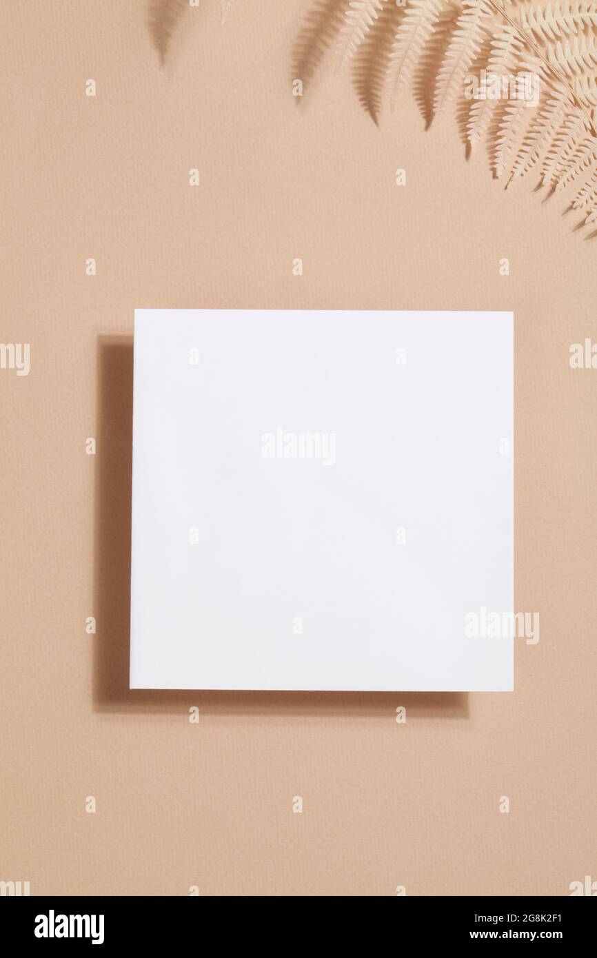 Carte Papier Avec Fougeres Sur Fond Beige Espace Copie Carte Pour Valentin Femmes Et Fete Des Meres Joyeux Anniversaire Paques Concept De La Nature Photo Stock Alamy