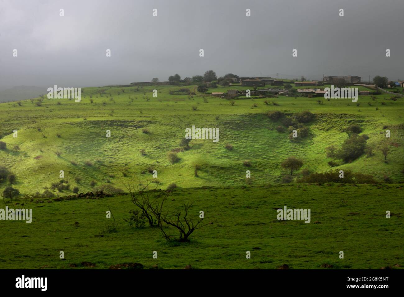 Paysage au sud d'Oman, Salalah. Moyen-Orient Banque D'Images