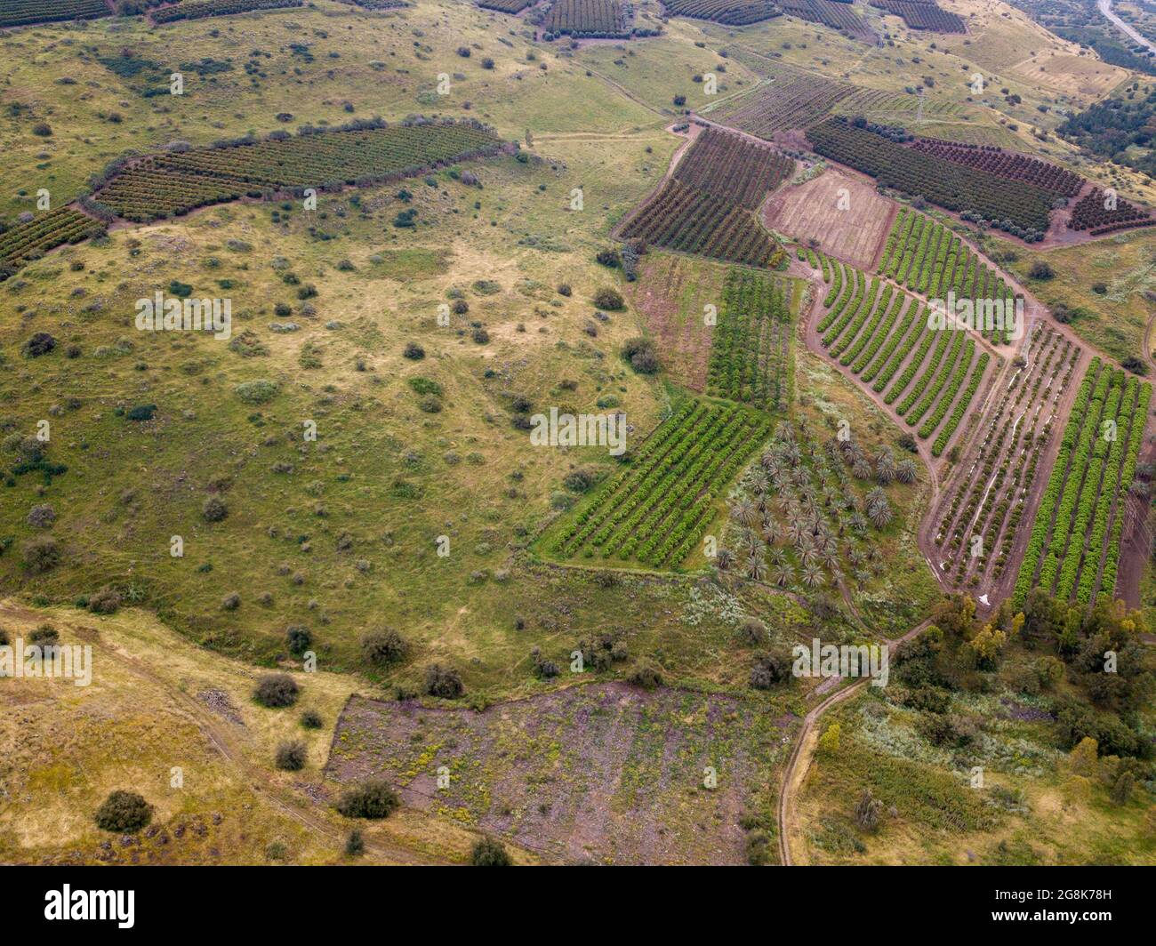 Paysage de montagne au printemps dans les hauteurs du Golan, Israël. Banque D'Images