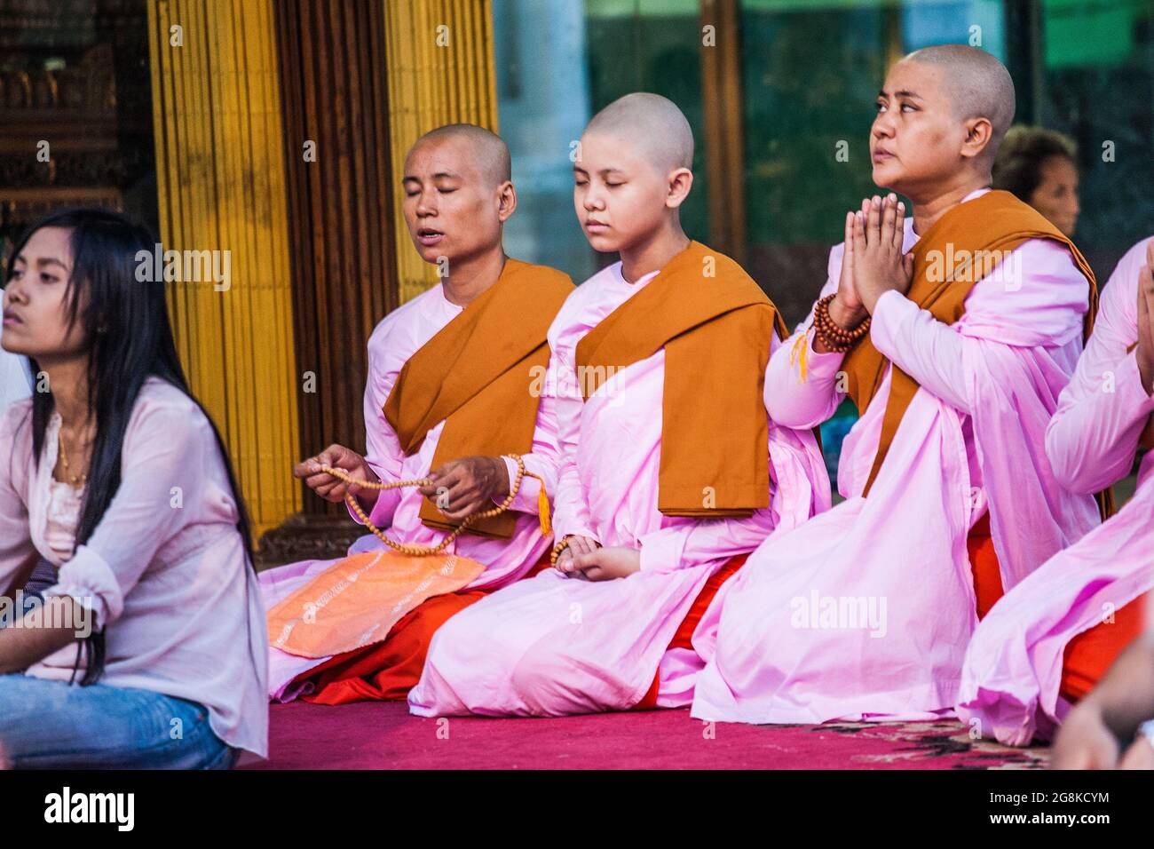 Jeunes nonnes novices priant (thilashin) à la Pagode Shwedagon, Yangon, Myanmar Banque D'Images