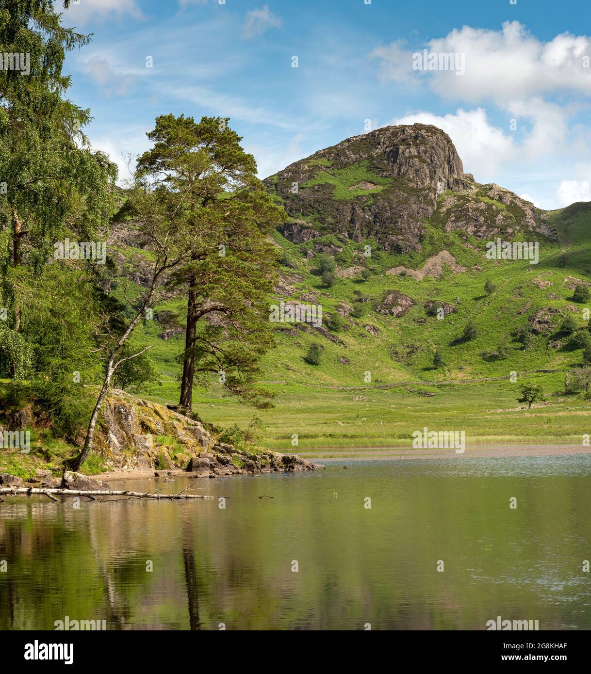 Blea tarn et brochet pris un matin d'été.Lake district parc national.Cumbri,Angleterre,UK Banque D'Images