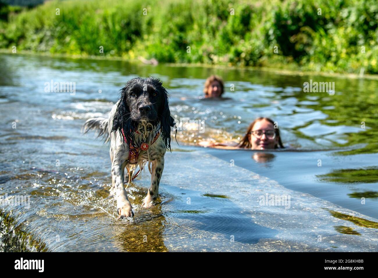 Les gens apprécient l'eau à Warleigh Weir sur la rivière Avon près de Bath dans Somerset tandis que les températures montent à travers le Royaume-Uni. Banque D'Images