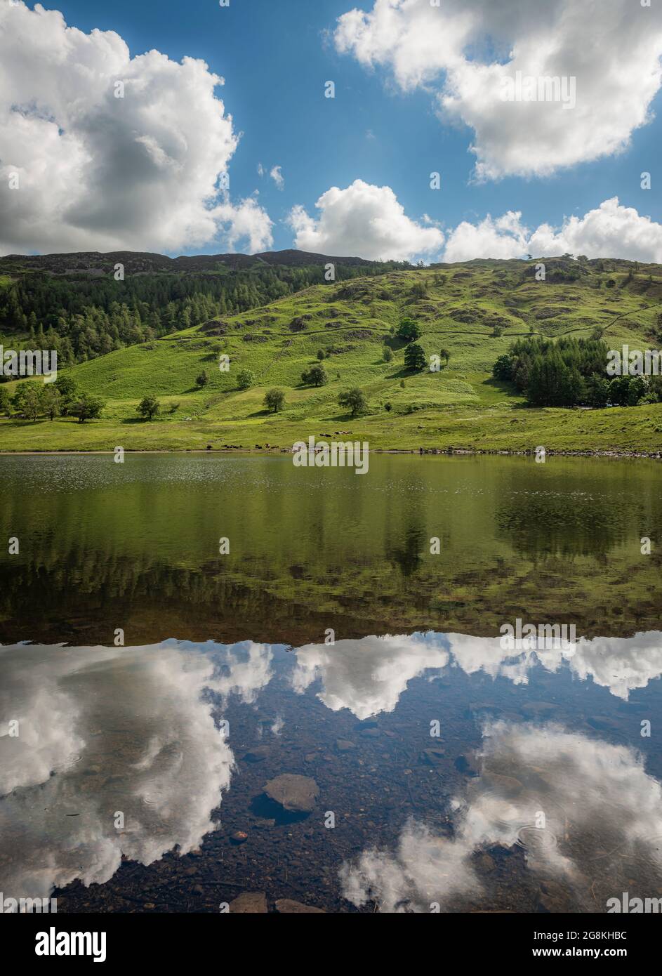 Blea Tarn, parc national du district du lac, miroir de réflexion sur l'eau Banque D'Images