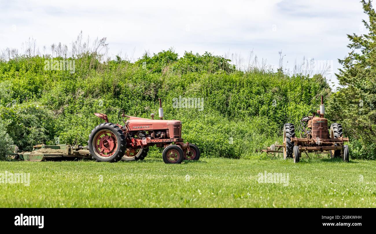 Paire de vieux tracteurs agricoles Farmall installés au bord d'un champ Banque D'Images