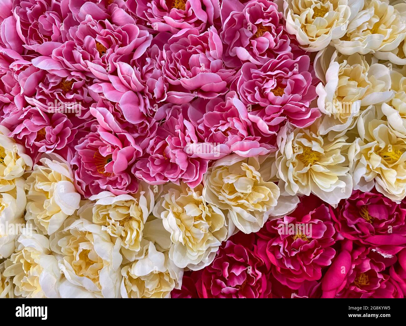 Gros plan des fleurs artificielles colorées du tissu, sur le mur du centre commercial pour la décoration dans le festival pour le bien-être de la cu Banque D'Images