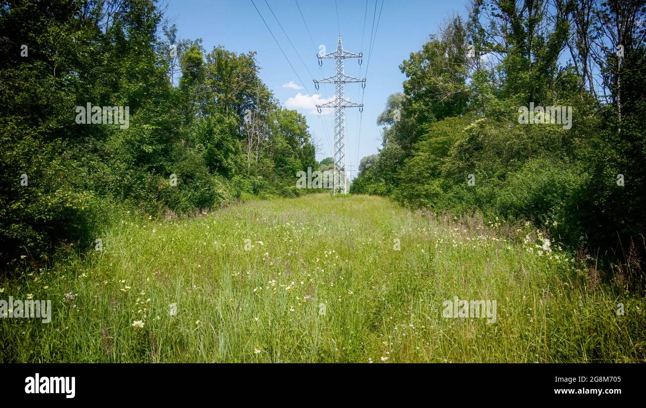 Ligne électrique haute tension traversant la campagne rurale verte de Bavière, paysage industriel et naturel Banque D'Images