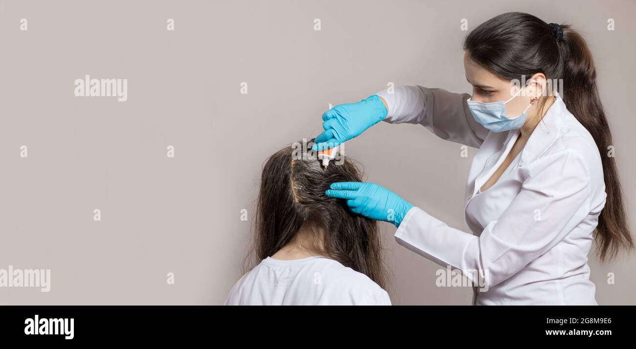 Un dermatologue ou un trichologue applique une herbe de pissenlits ou de poux aux cheveux du patient. Traiter le psoriasis, la perte de cheveux, la dermatite ou les poux de tête. Banque D'Images