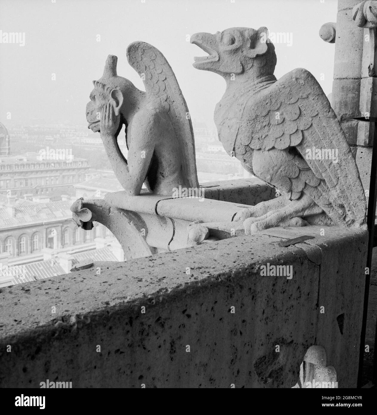 Années 1950, historique, la chimère de la cathédrale notre-Dame au-dessus de la ville de Paris, France. Contrairement aux célèbres gargouilles de notre-Dame, ces sculptures en pierre calcaire grotesques conçues comme des becs pour transporter l'eau de pluie loin du toit, ne dépassent pas des murs extérieurs. Au lieu de cela, ils bordent la Galerie des Chimères, un balcon qui relie les deux clochers. En se regardant au-dessus de la balustrade, où ils gardent le contrôle de la ville ci-dessous, ils ont été un nouvel ajout à la cathédrale au milieu des années 1800 lorsqu'elle a subi la restauration. Banque D'Images