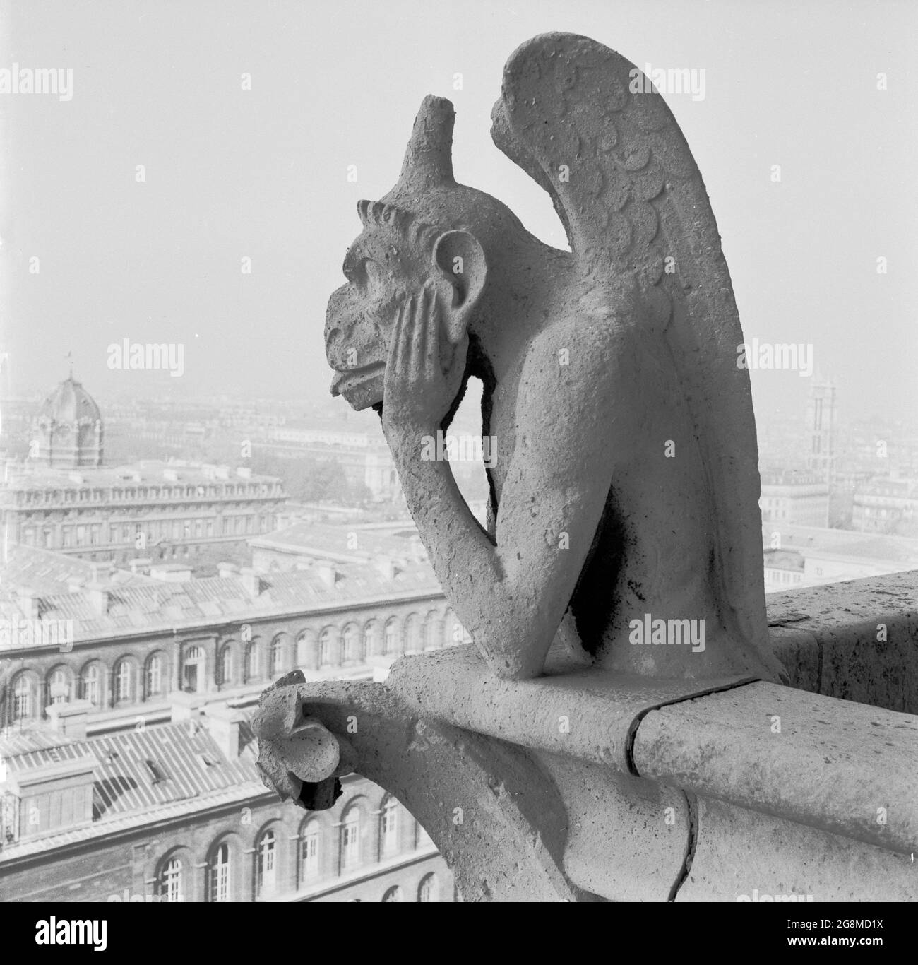 Années 1950, historique, la chimère de la cathédrale notre-Dame au-dessus de la ville de Paris, France. Contrairement aux célèbres gargouilles de notre-Dame, les figures de calcaire grotesques qui agissent comme des becs pour transmettre l'eau de pluie loin du toit, les statues de pierre de chimère ne dépassent pas des murs extérieurs. Au lieu de cela, ils bordent la Galerie des Chimères, un balcon qui relie les deux clochers. En se regardant au-dessus de la balustrade, où ils gardent le contrôle de la ville ci-dessous, ils ont été un nouvel ajout à la cathédrale au milieu des années 1800 lorsqu'elle a subi la restauration. 56 chimères ou grotesques comme on les connaît, étaient ere Banque D'Images