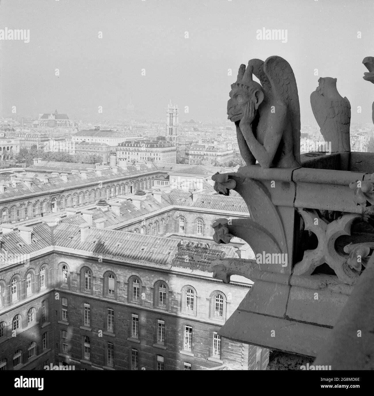 Années 1950, historique, la chimère de la cathédrale notre-Dame au-dessus de la ville de Paris, France. Contrairement aux célèbres gargouilles de notre-Dame, les figures de calcaire grotesques qui agissent comme des becs pour transmettre l'eau de pluie loin du toit, les statues de pierre de chimère ne dépassent pas des murs extérieurs. Au lieu de cela, ils bordent la Galerie des Chimères, un balcon qui relie les deux clochers. En se regardant au-dessus de la balustrade, où ils gardent le contrôle de la ville ci-dessous, ils ont été un nouvel ajout à la cathédrale au milieu des années 1800 lorsqu'elle a subi la restauration. Banque D'Images
