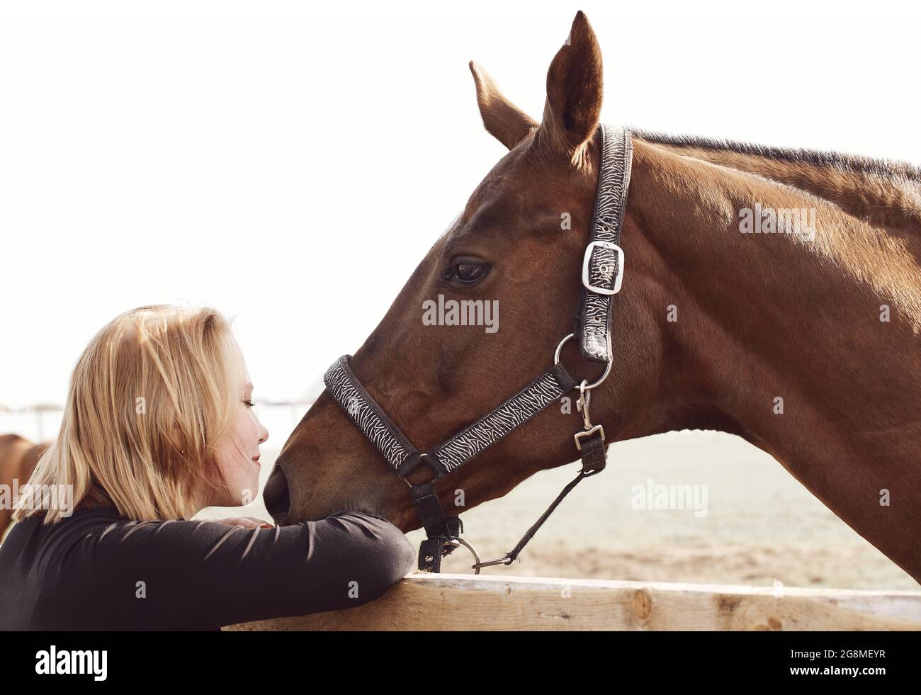 Fille embrassant un cheval - scène rurale dans des couleurs douces Banque D'Images