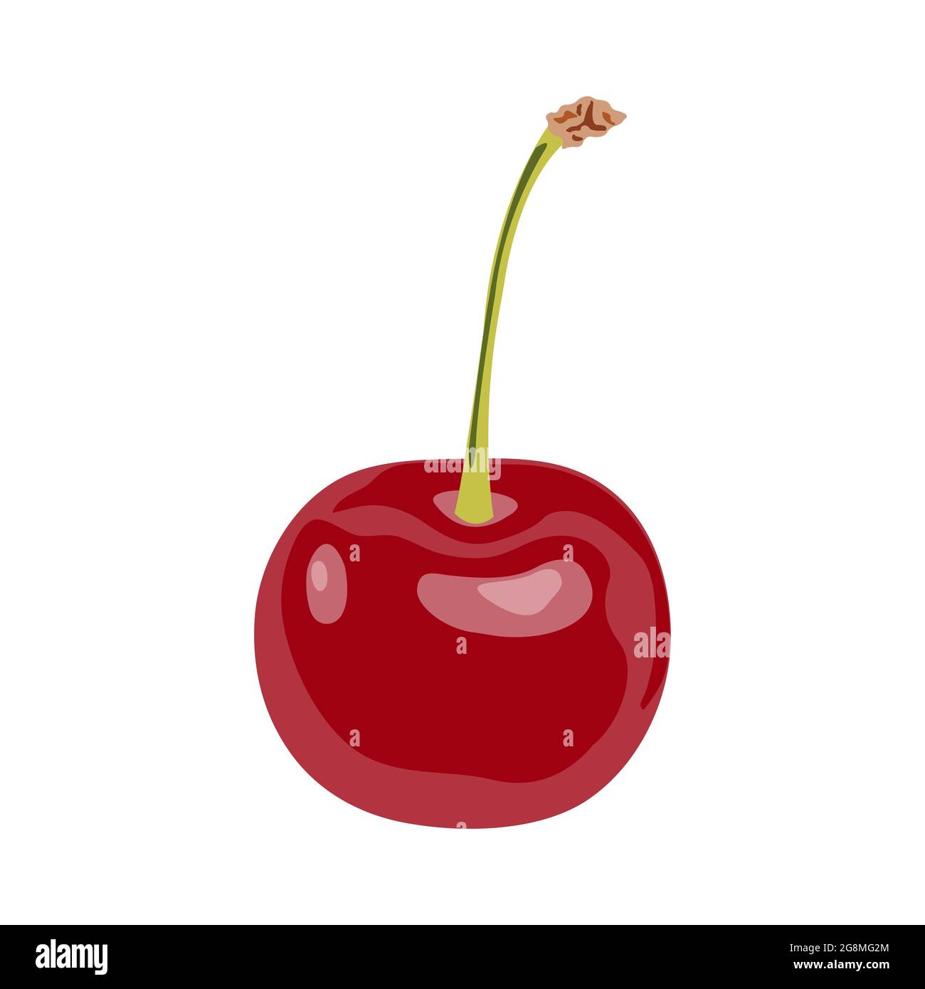 Rouge délicieuse cerise mûre avec un hôte isolé sur un fond blanc. Illustration de cerisier vectoriel. Icône de style dessin animé. Illustration de Vecteur