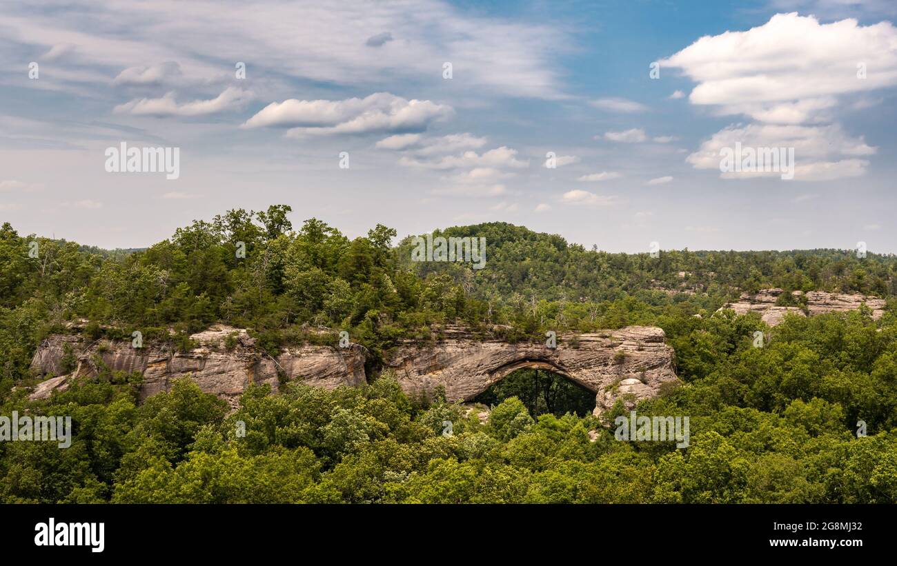 Natural Arch, dans la forêt nationale Daniel Boone, près de Stearns, Kentucky. Banque D'Images