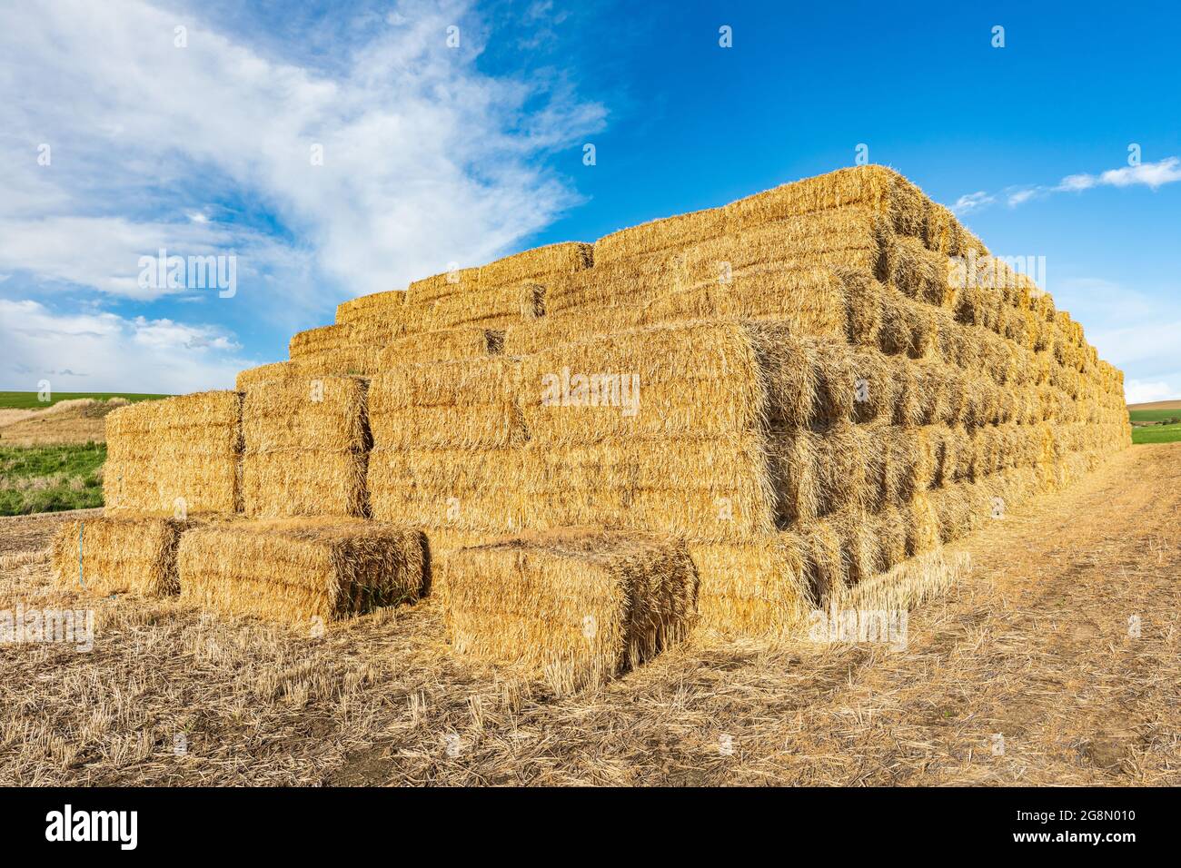 Pullman, Washington, Etats-Unis. Pile de balles de foin dans les collines de Palouse. Banque D'Images