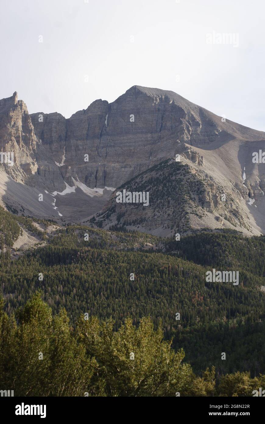 La beauté du parc national de Great Basin. Banque D'Images