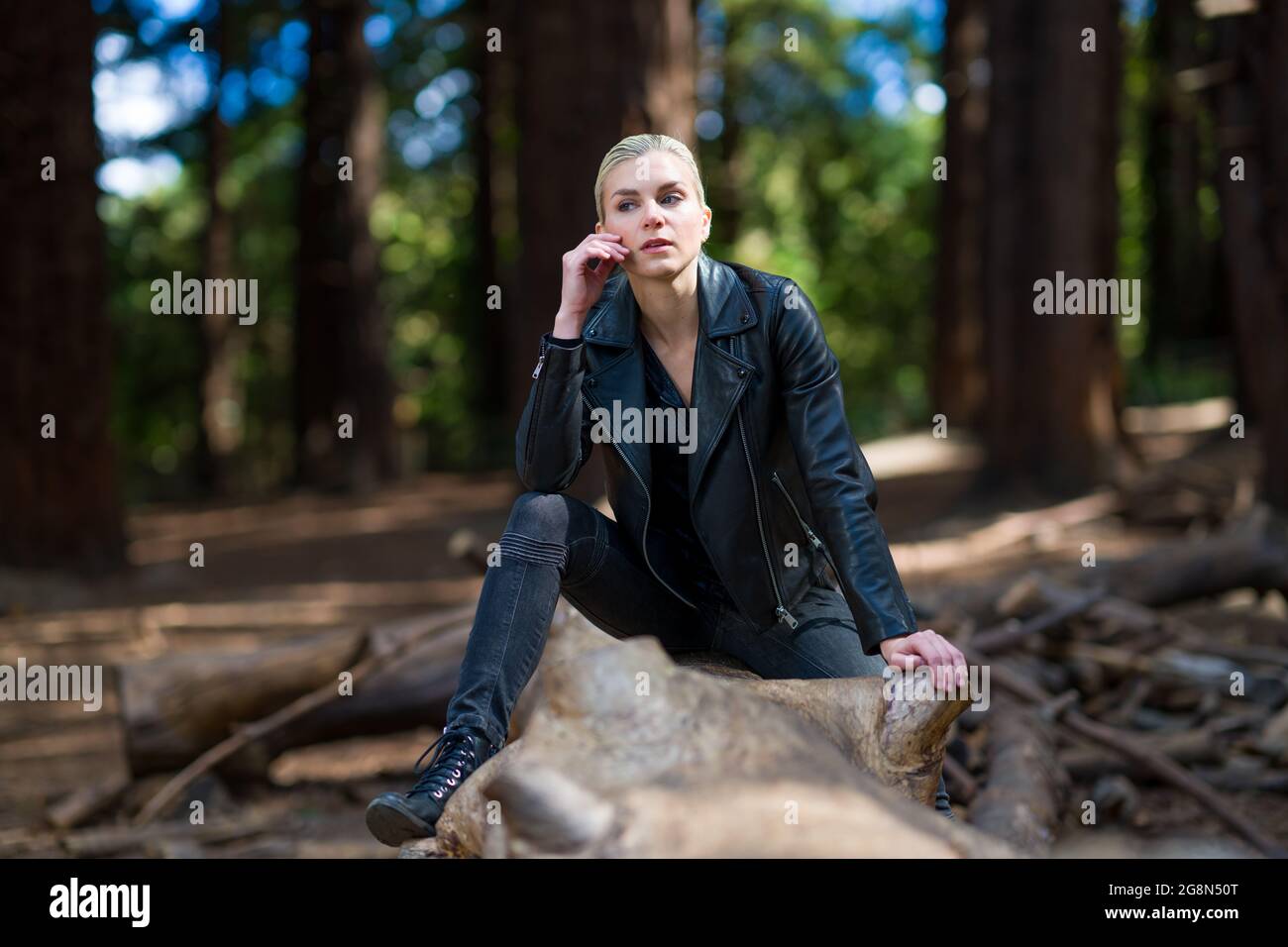 Jeune femme sur une grande bûche de séquoias tombés dans redwood grove Banque D'Images