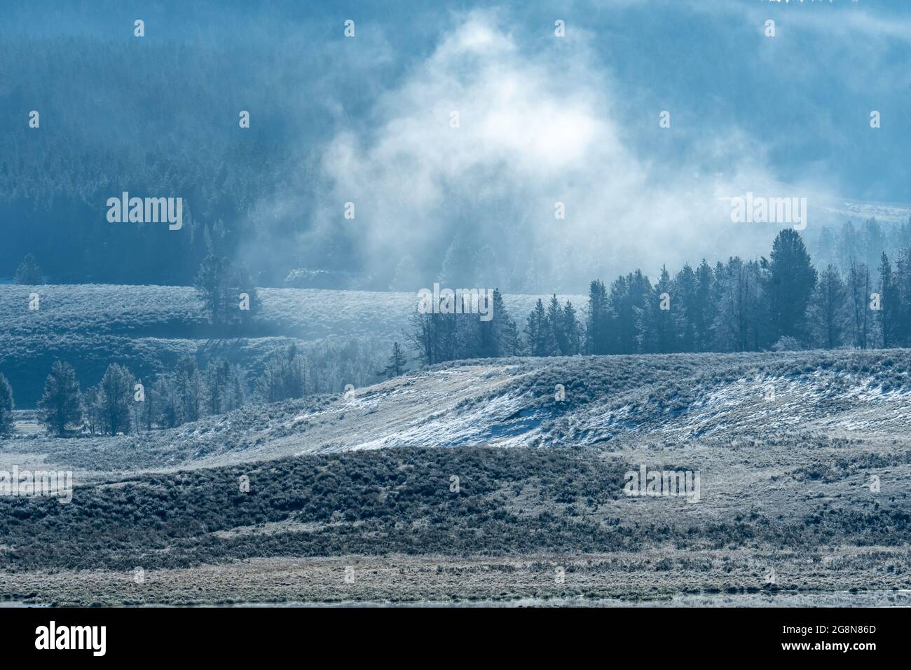 Les geysers de Yellowstone National Park Banque D'Images