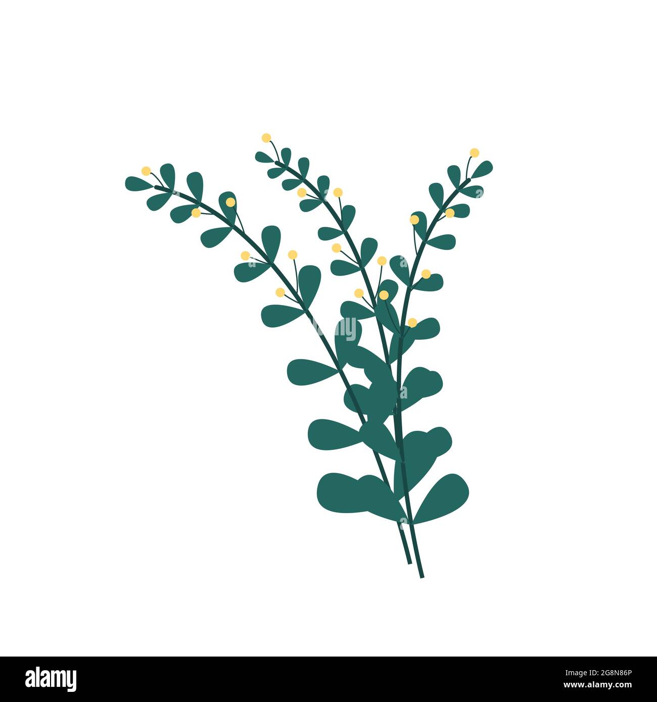 Bouquet de branches vertes de feuilles et de petites bourgeons jaunes. Fleurs et plantes. Illustration vectorielle de style plat Illustration de Vecteur