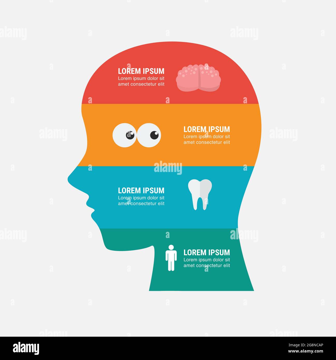 Modèle de conception d'infographie médicale. Illustration vectorielle. Illustration de Vecteur