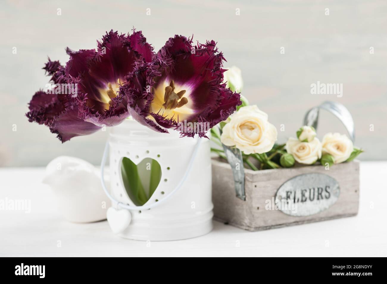 La Provence reste vie. Bouquet de roses blanches, tulipes violettes, fond en bois bleu, décor de mariage. Panneau sur « fleurs » françaises Banque D'Images