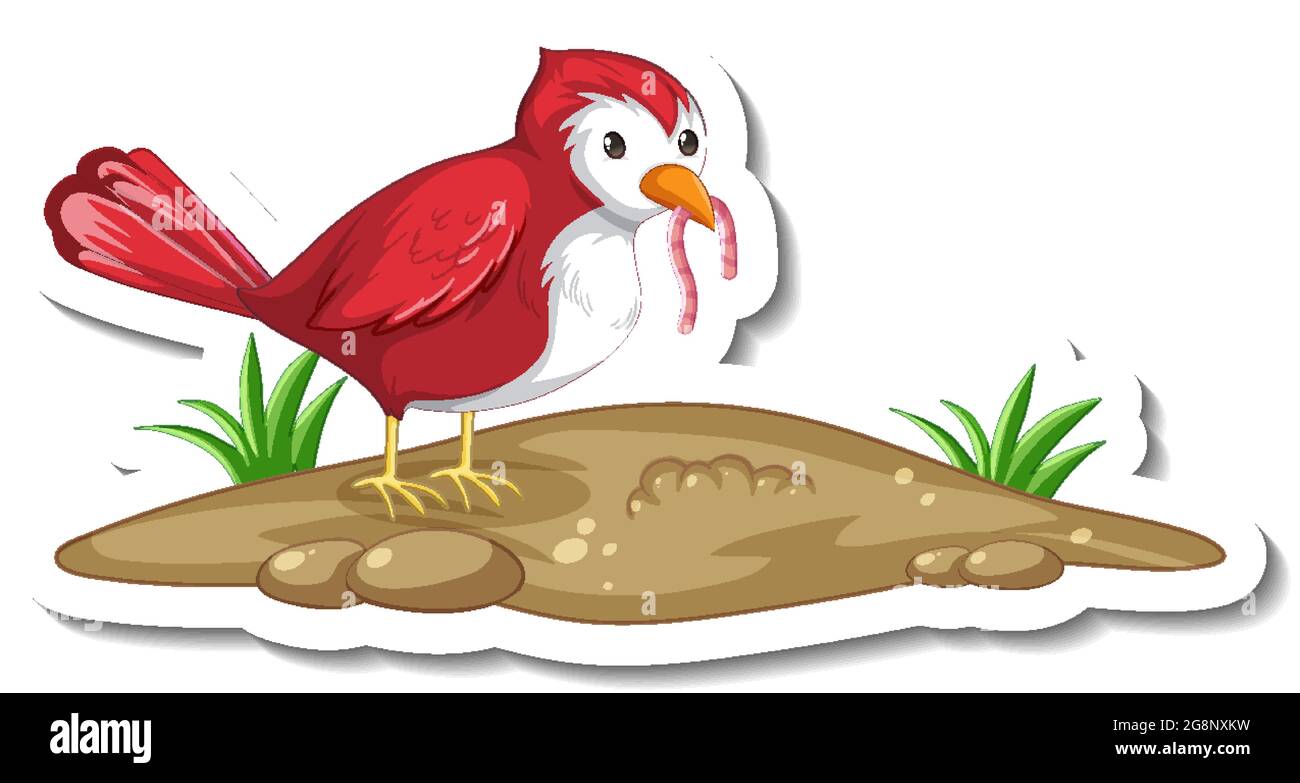 Modèle d'autocollant avec un ver de manger d'oiseau rouge sur fond blanc illustration Illustration de Vecteur