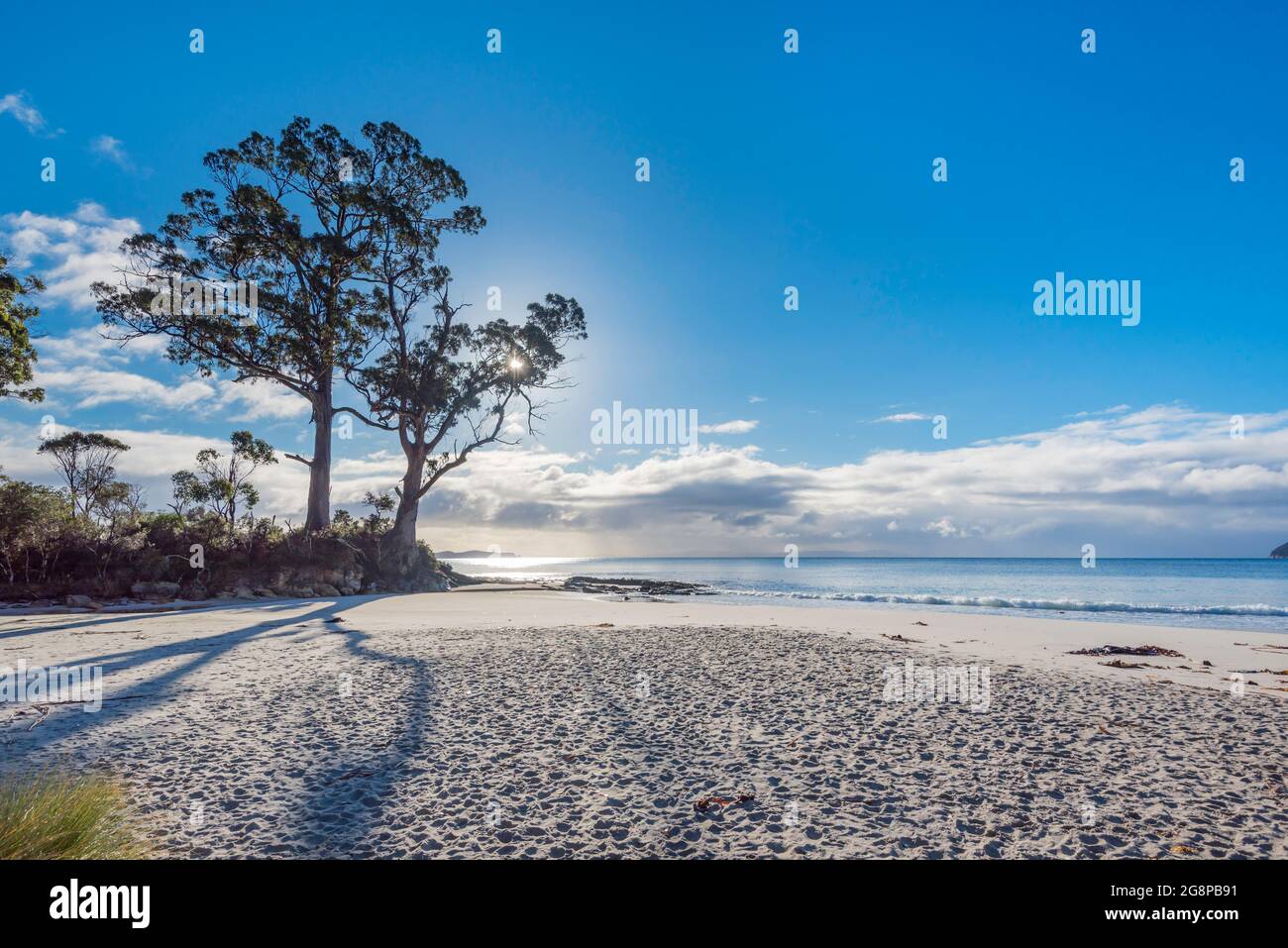 Le troisième voyage du capitaine James Cook vers le sud (1775-1780) avec les navires Resolution et Discovery a refait le point à Resolution Creek et a peint une image de deux arbres Banque D'Images