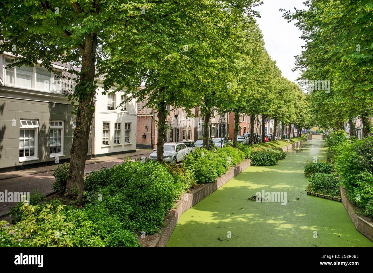 Rijnbrug, pays-Bas, 7 juillet 2021 : canal étroit dans la vieille ville, vénéré avec des duckadweed et bordé d'arbres ombragés et de maisons traditionnelles Banque D'Images