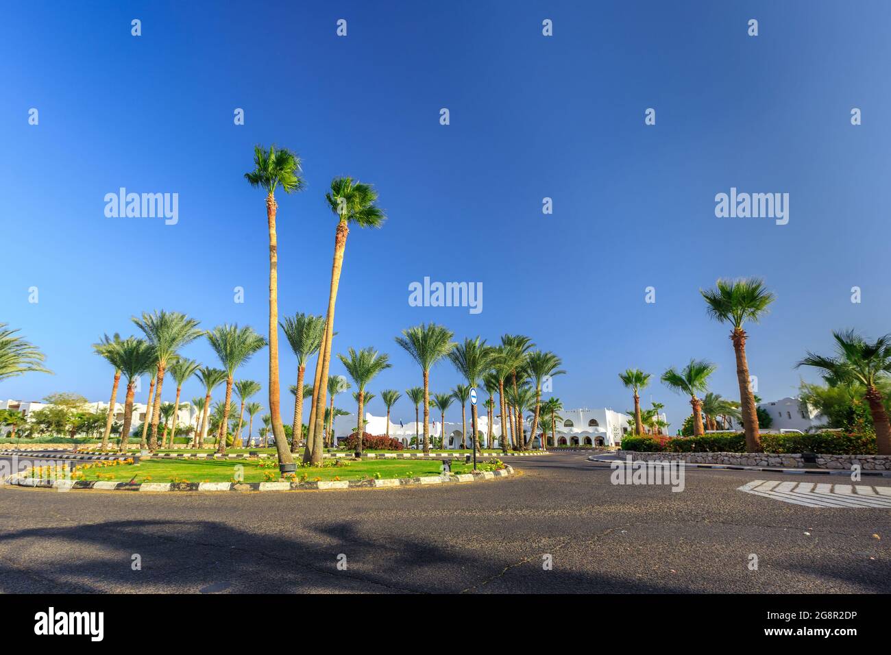 La vue sur la route et les palmiers près des bâtiments du territoire des hôtels en Egypte Banque D'Images