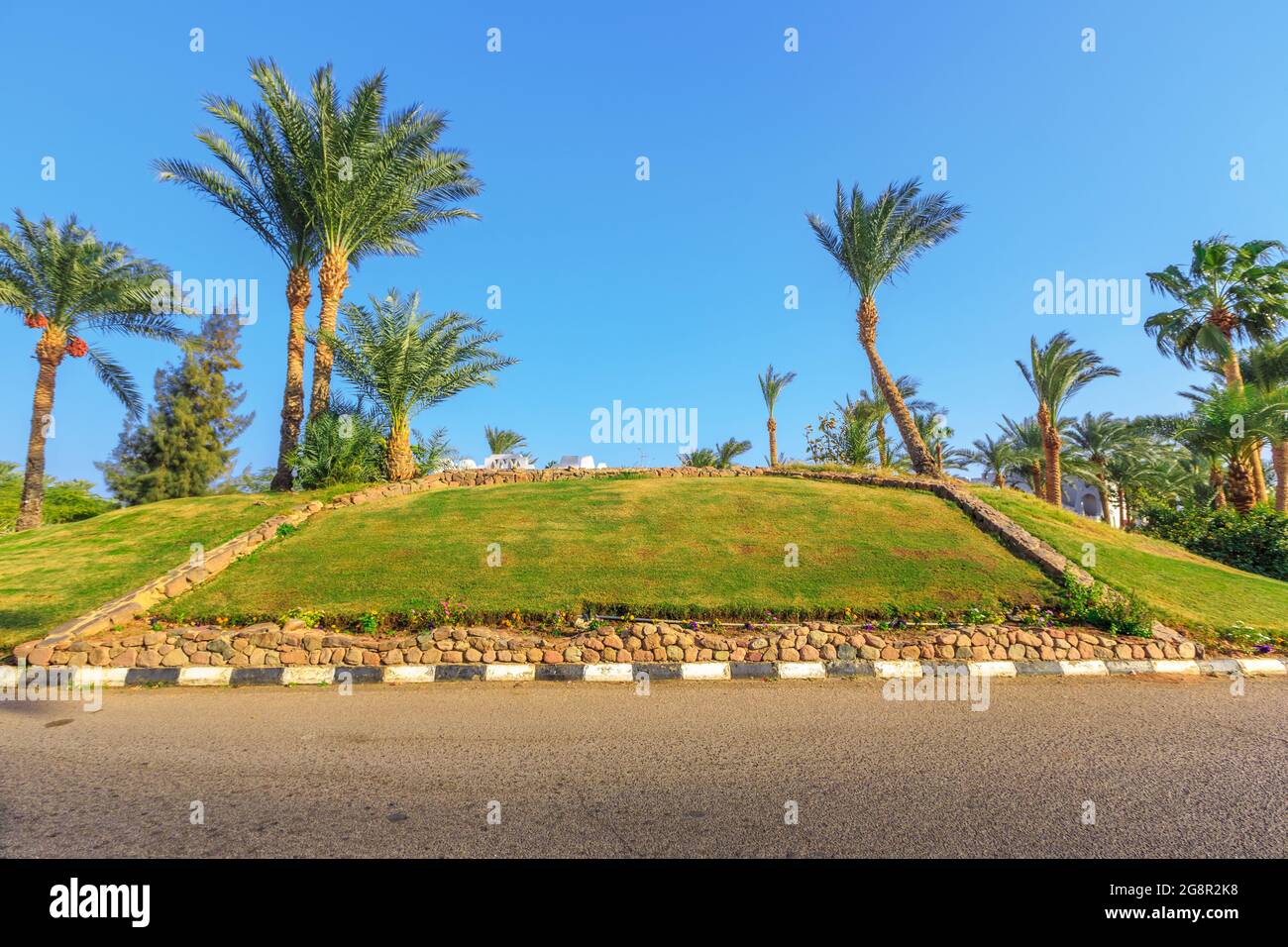La vue sur la route et les palmiers près des bâtiments du territoire des hôtels en Egypte Banque D'Images