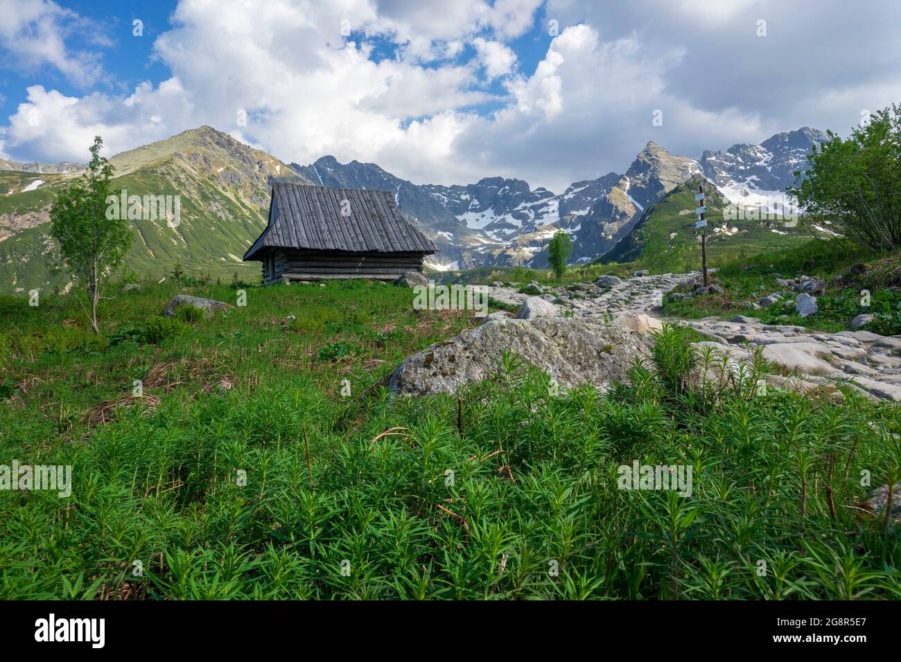 Vallée de Gasienicowa en juin. Montagnes Tatra. Banque D'Images